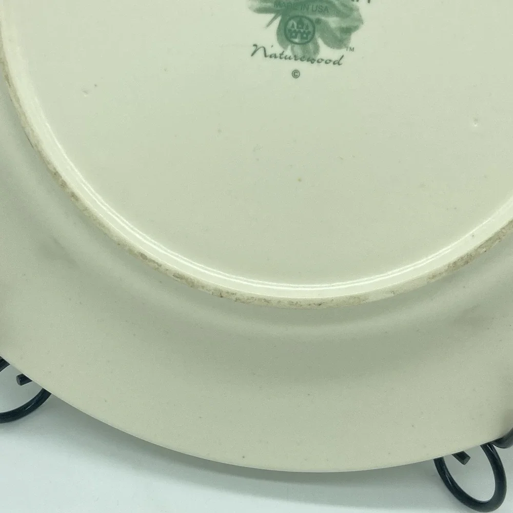 Portfolio Pfaltzgraff Naturewood Dinner Plates 11